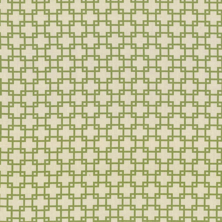 Tunechi Kiwi by Kasmir Designer Fabric 5074 50% Cotton
50% Polyester
 PAKISTAN </p><p>Repeat: Horizontal: 3 inches and Vertical: 2 7/8 inches 53 - Swanky Fabrics -