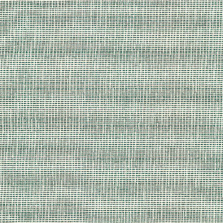 Unity Spa by Kasmir Designer Fabric See sample 100% Polyester
 TURKEY 50,000 Wyzenbeek Double Rubs </p><p>Repeat: Horizontal: N/A and Vertical: N/A 55 - Swanky Fabrics -