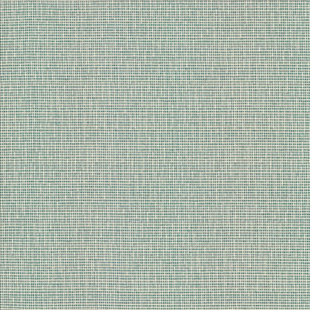 Unity Spa  by Kasmir Designer Fabric 1464 100% Polyester
 TURKEY 50,000 Wyzenbeek Double Rubs Horizontal: N/A and Vertical: N/A 55  - Swanky Fabrics -