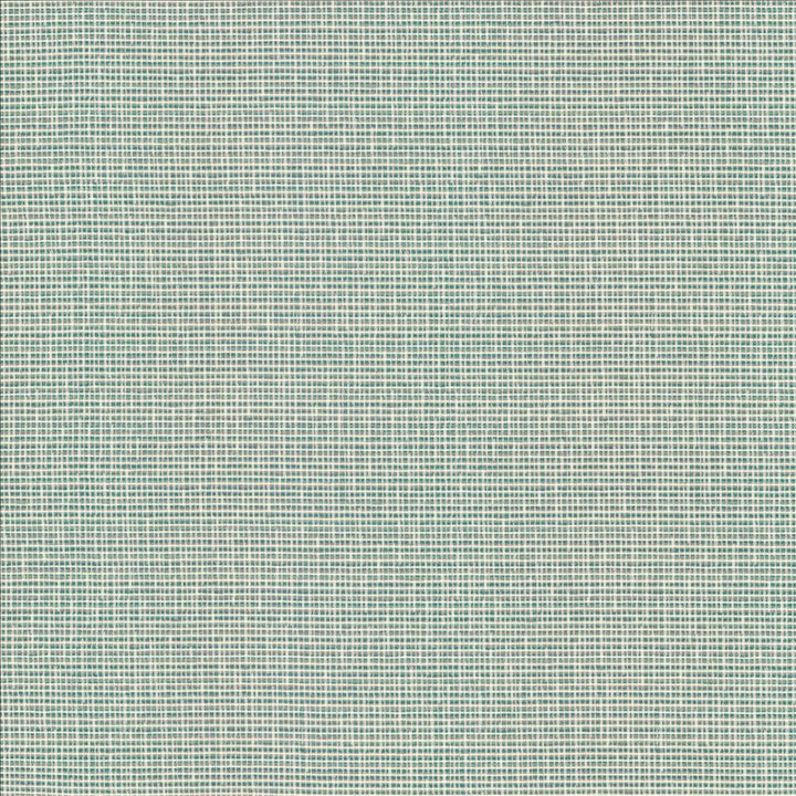 Unity Spa by Kasmir Designer Fabric 1464 100% Polyester
 TURKEY 50,000 Wyzenbeek Double Rubs </p><p>Repeat: Horizontal: N/A and Vertical: N/A 55 - Swanky Fabrics -