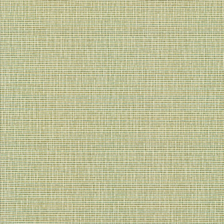 Unity Spring by Kasmir Designer Fabric 1464 100% Polyester
 TURKEY 50,000 Wyzenbeek Double Rubs </p><p>Repeat: Horizontal: N/A and Vertical: N/A 55 - Swanky Fabrics -