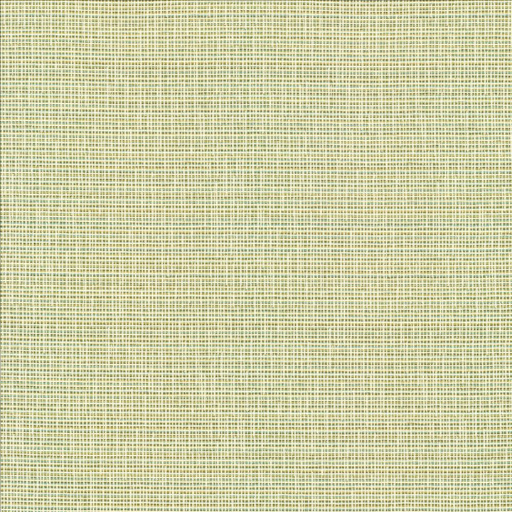 Unity Spring by Kasmir Designer Fabric 1464 100% Polyester
 TURKEY </p><p>Repeat: Horizontal: N/A and Vertical: N/A 55 - Swanky Fabrics -
