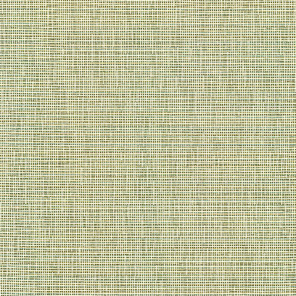 Unity Spring by Kasmir Designer Fabric See sample 100% Polyester
 TURKEY 50,000 Wyzenbeek Double Rubs </p><p>Repeat: Horizontal: N/A and Vertical: N/A 55 - Swanky Fabrics -