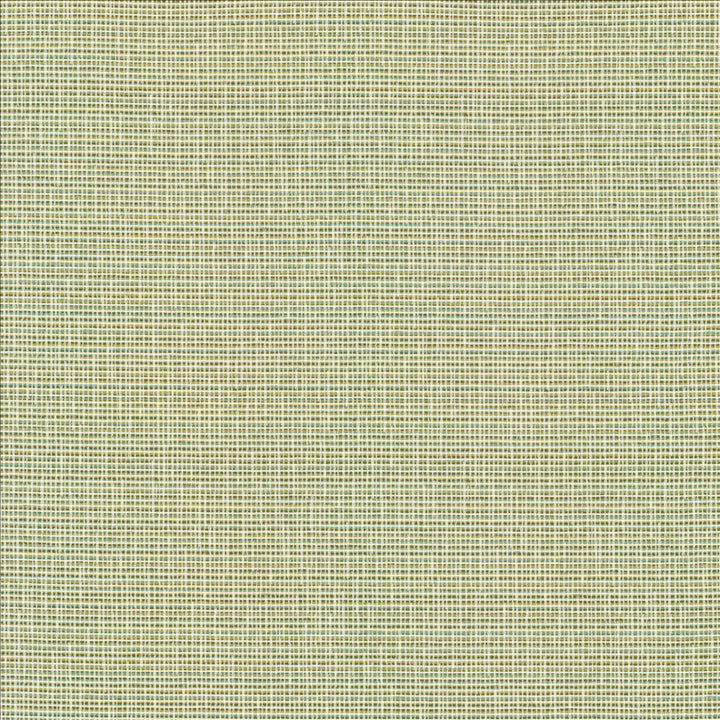 Unity Spring  by Kasmir Designer Fabric 1464 100% Polyester
 TURKEY 50,000 Wyzenbeek Double Rubs Horizontal: N/A and Vertical: N/A 55  - Swanky Fabrics -