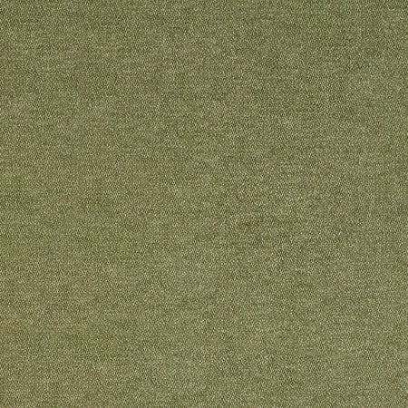 Soft Landing Sage by Carole Designer Fabric