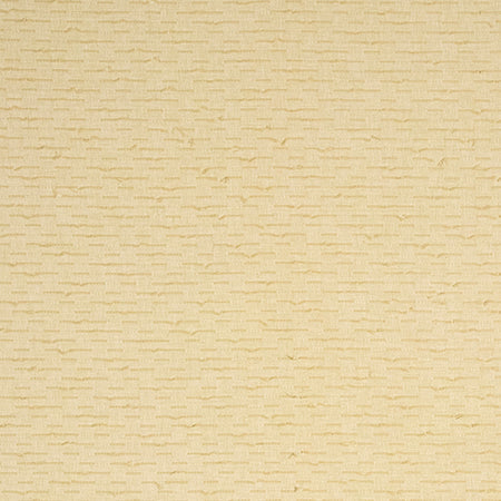 Color To Texture Sunny by Carole Designer Fabric