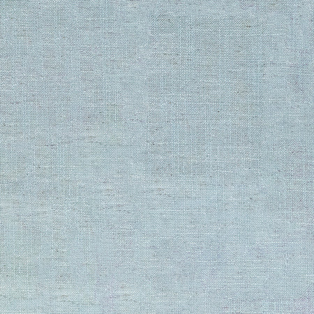 Fresh Start Sky by Carole Designer Fabric