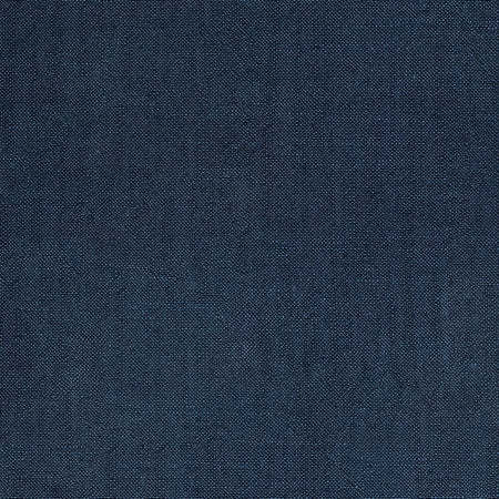 Fresh Start Navy by Carole Designer Fabric