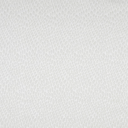 Seed Packet Diamond by Carole Designer Fabric