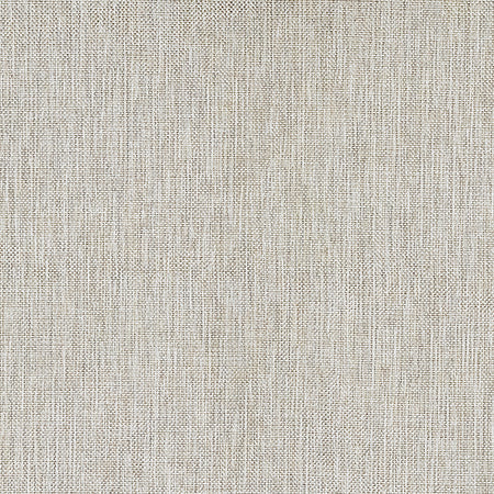 On Your Terms Parchment by Carole Designer Fabric
