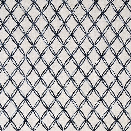 Inside And Out Denim by Carole Designer Fabric