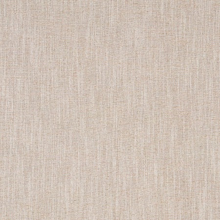 Undeniable Linen by Carole Designer Fabric