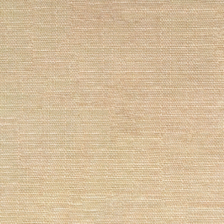 Hit The Mark Khaki by Carole Designer Fabric