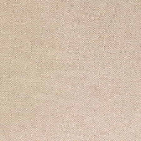Soft Landing Sand by Carole Designer Fabric