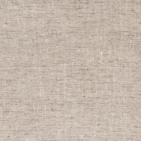 Within The Lines Linen by Carole Designer Fabric