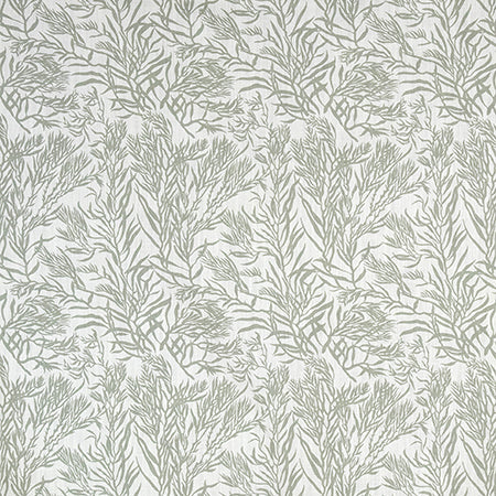 Aquatic Life Sage by Carole Designer Fabric