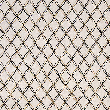 Inside And Out Ebony by Carole Designer Fabric