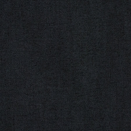 Fresh Start Onyx by Carole Designer Fabric