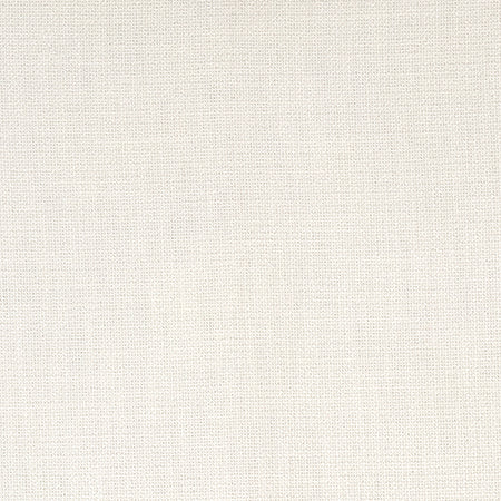 Cuddle Up Ivory by Carole Designer Fabric