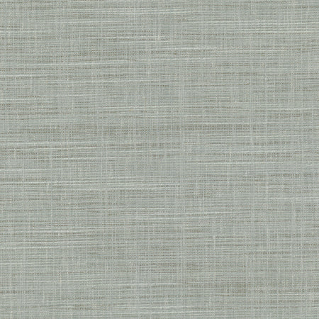 Truth Be Told Jade by Carole Designer Fabric