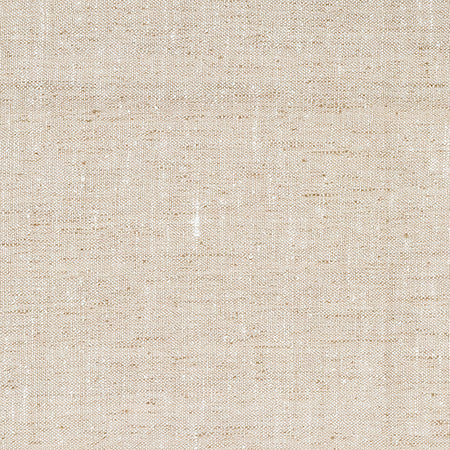 Within The Lines Natural by Carole Designer Fabric