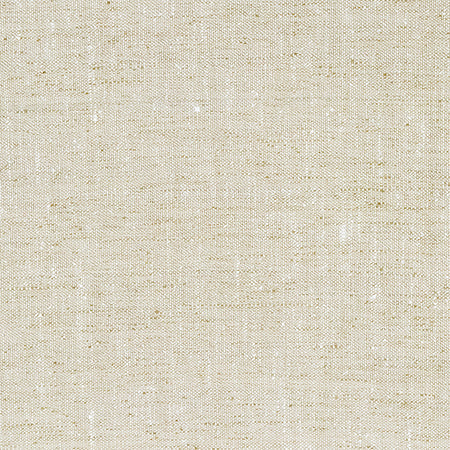 Within The Lines Mineral by Carole Designer Fabric