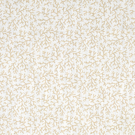 Petite Coral Tan by Carole Designer Fabric