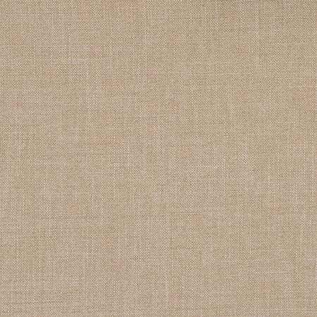 Driving Force Latte by Carole Designer Fabric