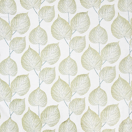 Exquisite In Nature Aqua Green by Carole Designer Fabric