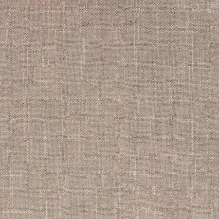 Fresh Start Brown by Carole Designer Fabric