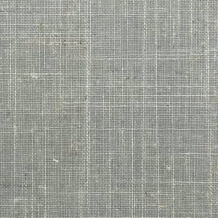 Phantom Celadon by Carole Designer Fabric