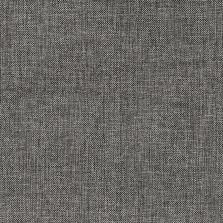 On Your Terms Obsidian by Carole Designer Fabric
