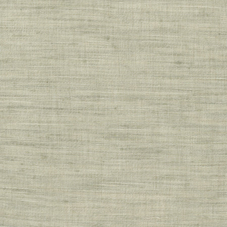 So Be It Celadon by Carole Designer Fabric