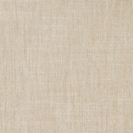 Live Well Sand by Carole Designer Fabric