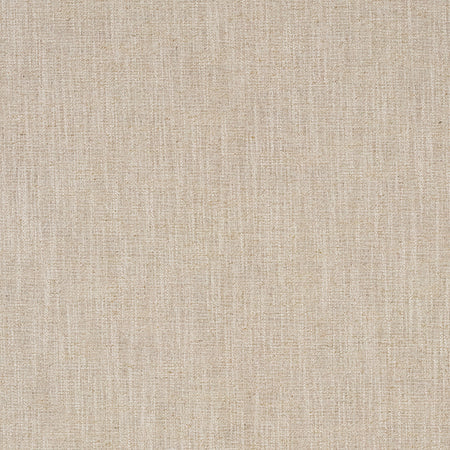 Undeniable Sand by Carole Designer Fabric