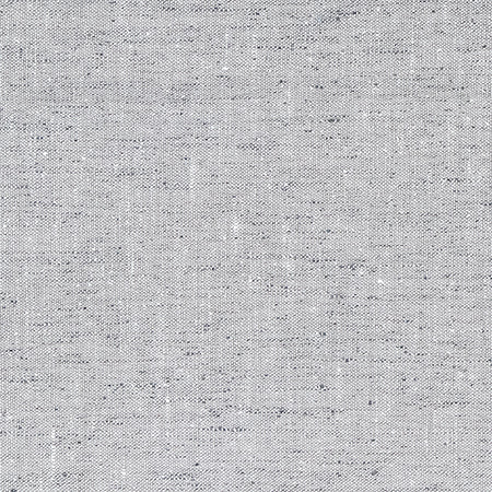 Within The Lines Ash by Carole Designer Fabric