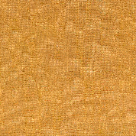 Fresh Start Marigold by Carole Designer Fabric