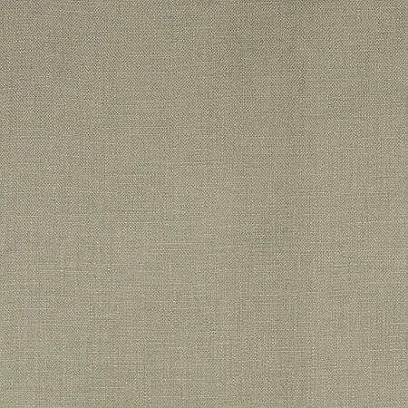 Inspired Comfort Aloe by Carole Designer Fabric
