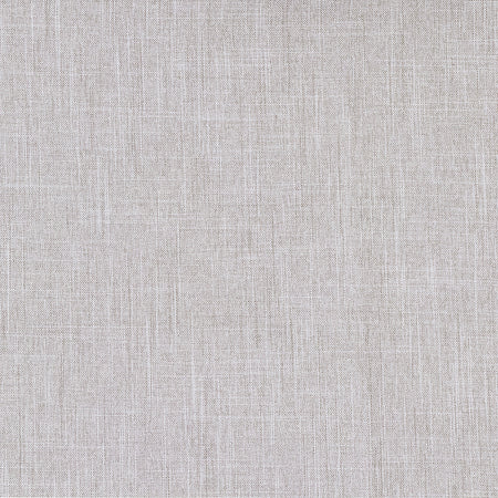 Go Ahead Light Grey by Carole Designer Fabric