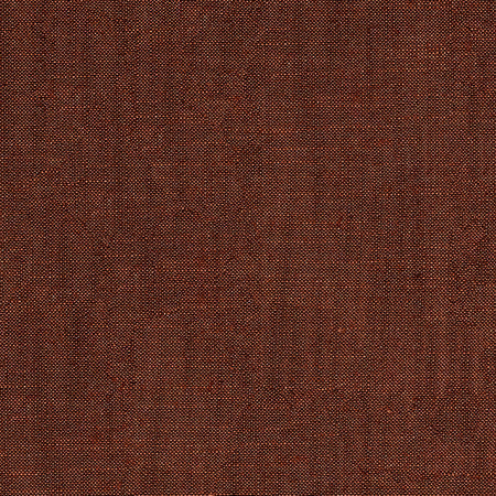 Fresh Start Cinnamon by Carole Designer Fabric