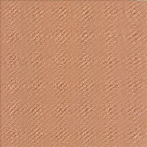 Kasmir Fabric Valeda Popsicle