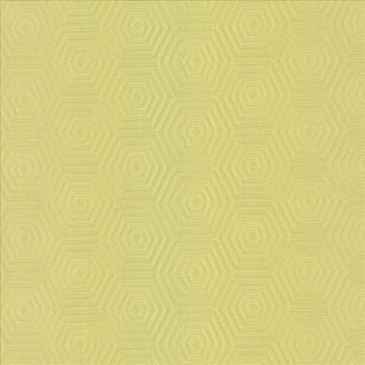 Vault Wheatgrass  by Kasmir Designer Fabric 5099 69% Cotton
31% Polyester
 CHINA 42,000 Wyzenbeek Double Rubs Horizontal: 3 inches and Vertical: 1 6/8 inches 57  - Swanky Fabrics -
