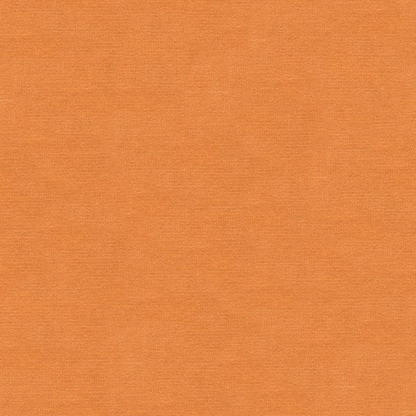 VERSAILLES.E22008 by Kravet Design Designer Fabric our website for purchase Cotton 100% Netherlands Heavy Horizontal: see sample and Vertical: see sample 54 inches - Swanky Fabrics -