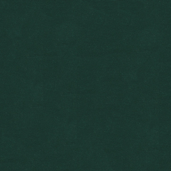 VERSAILLES.E26702 by Kravet Design Designer Fabric our website for purchase Cotton 100% Netherlands Heavy Horizontal: see sample and Vertical: see sample 54 inches - Swanky Fabrics -