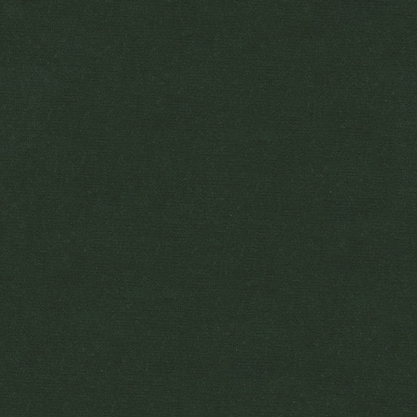 VERSAILLES.E26782 by Kravet Design Designer Fabric our website for purchase Cotton 100% Netherlands Heavy Horizontal: see sample and Vertical: see sample 54 inches - Swanky Fabrics -