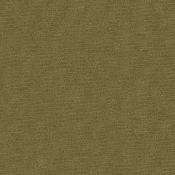 VERSAILLES.E26802 by Kravet Design Designer Fabric our website for purchase Cotton 100% Netherlands Heavy Horizontal: see sample and Vertical: see sample 54 inches - Swanky Fabrics -