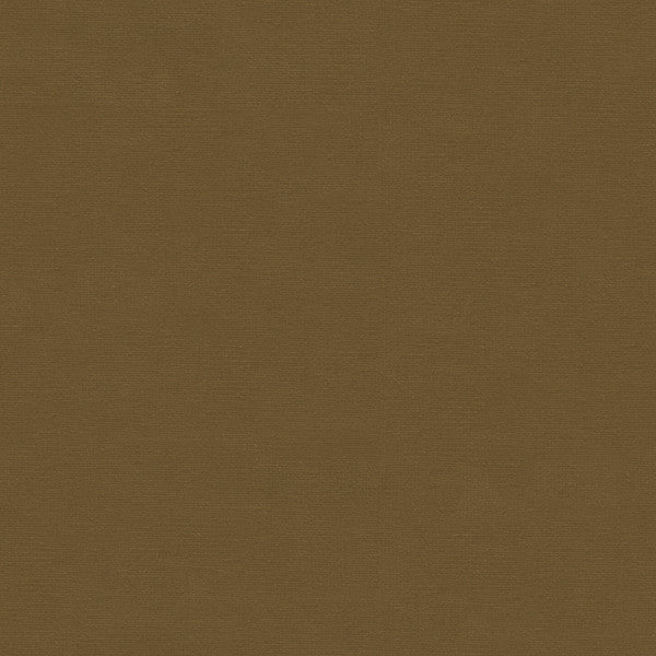 VERSAILLES.E27703 by Kravet Design Designer Fabric our website for purchase Cotton 100% Netherlands Heavy Horizontal: see sample and Vertical: see sample 54 inches - Swanky Fabrics -