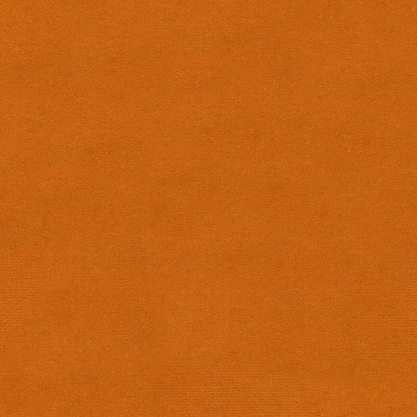 VERSAILLES.E29002 by Kravet Design Designer Fabric our website for purchase Cotton 100% Netherlands Heavy Horizontal: see sample and Vertical: see sample 54 inches - Swanky Fabrics -