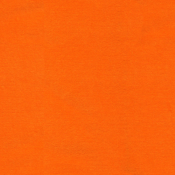 VERSAILLES.E29008 by Kravet Design Designer Fabric our website for purchase Cotton 100% Netherlands Heavy Horizontal: see sample and Vertical: see sample 54 inches - Swanky Fabrics -