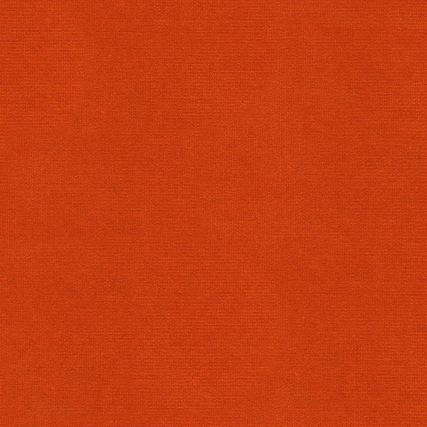 VERSAILLES.E29209 by Kravet Design Designer Fabric our website for purchase Cotton 100% Netherlands Heavy Horizontal: see sample and Vertical: see sample 54 inches - Swanky Fabrics -